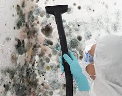 Trusted New California, OH Mold Inspection Experts